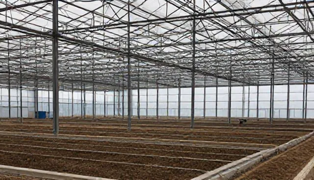 基础设施施工中技术咨询的必要性与应用难点